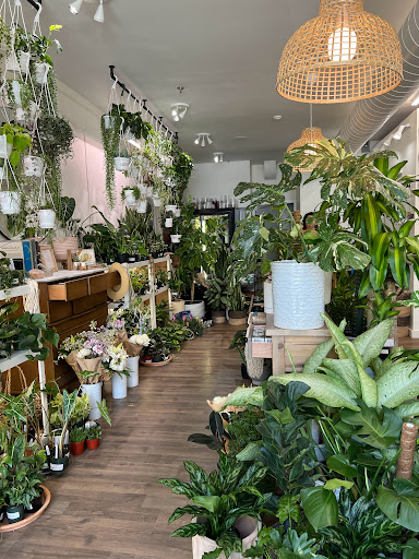 Rudo Plants & Home – Jersey City, New York
