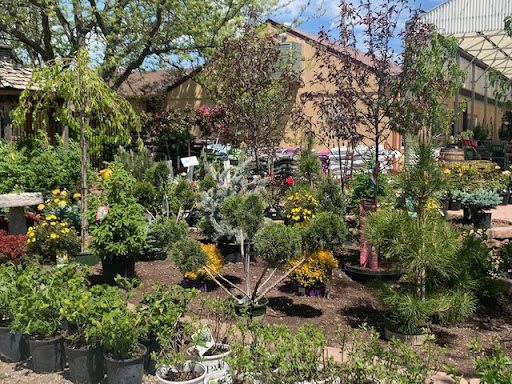 Pinehurst Floral & Greenhouse – Pocatello, Boise