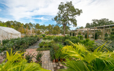 Terra Bella Garden Center – North Charleston, New York