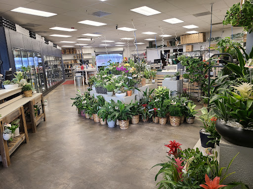 Casas Adobes Flower Shop – Tucson, Phoenix